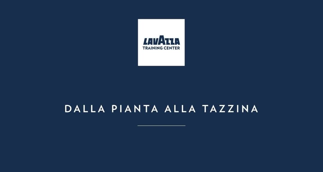 DALLA PIANTA ALLA TAZZINA