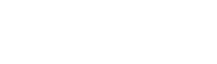 omaggio biglietto