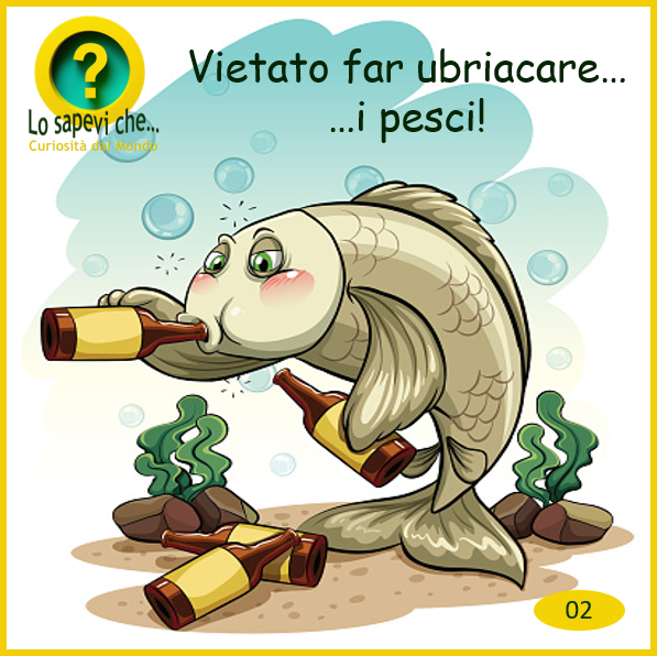 pesce ubriaco
