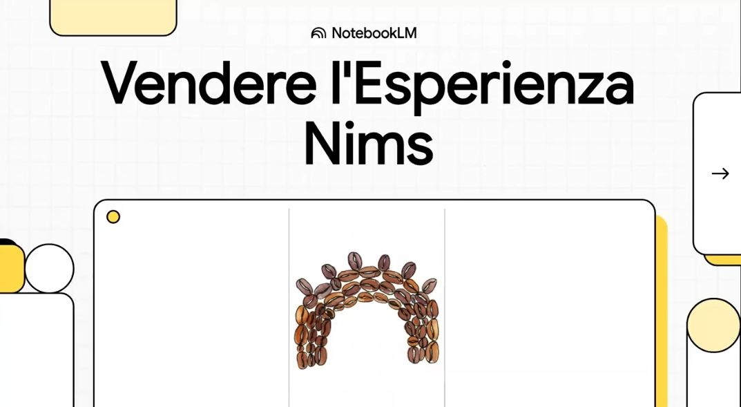 VENDERE L'ESPERIENZA NIMS