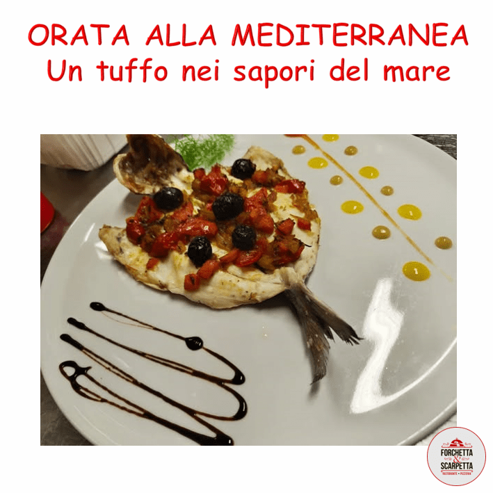 orata mediterranea