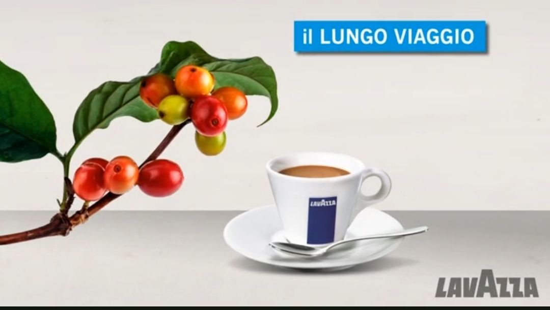 Il lungo viaggio del caffè