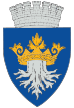 Brașov emblem