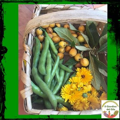 Il Giardino del Gilo - Foto 6