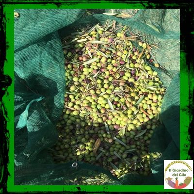 Il Giardino del Gilo - Foto 2