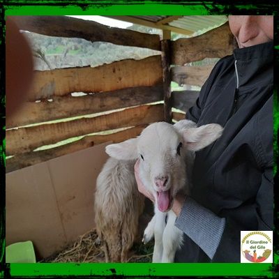 Il Giardino del Gilo - Foto 3