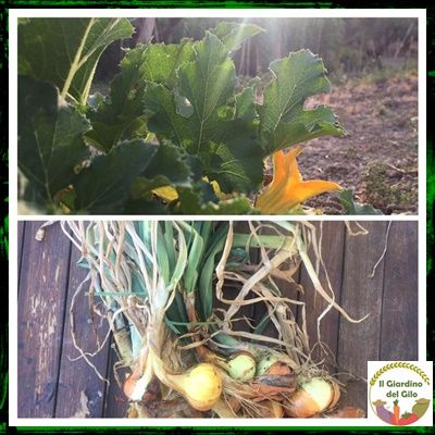 Il Giardino del Gilo - Foto 4