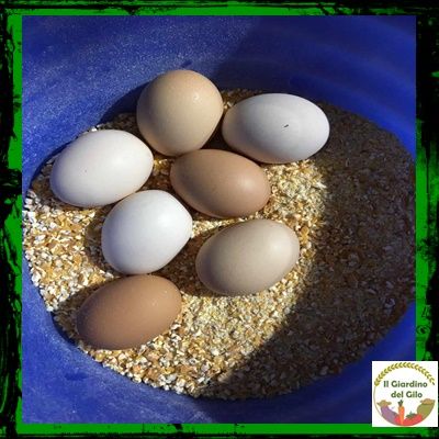 Il Giardino del Gilo - Foto 1