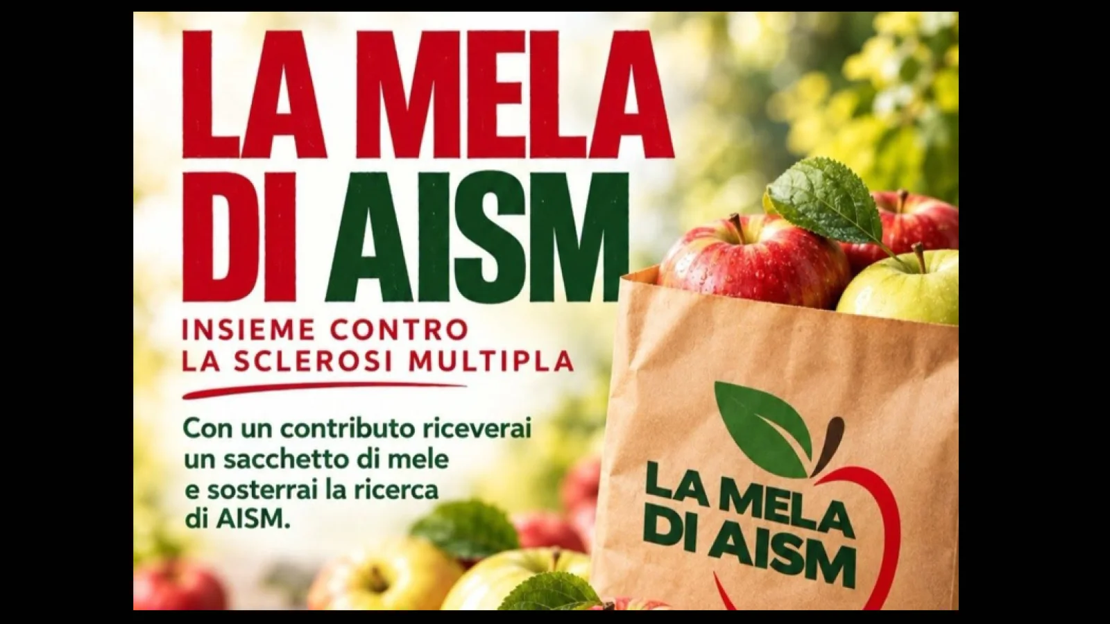 INSIEME, PER DARE FORZA ALLA SOLIDARIETÀ 🍎🍏